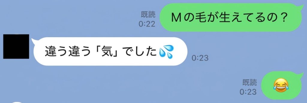 ネットナンパ 人妻とのLINEメッセージやり取り スクショ